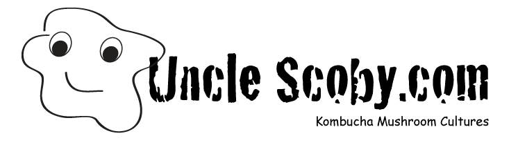 UncleScoby.com Kombucha mushroom cultures
